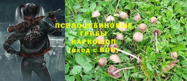 марки nbome Алексеевка