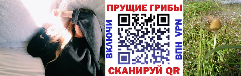 как найти закладки  Бикин  Галлюциногенные грибы ЛСД 